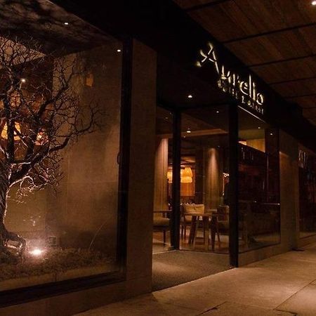 Concepción Aurelio Hotel & Apart المظهر الخارجي الصورة